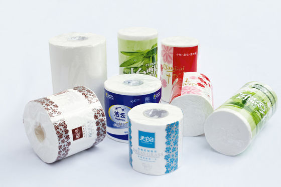 Impacchettatrice del rotolo di carta igienica dello SpA di 10 Rolls Siemens/macchina fabbricazione del rotolo di carta igienica